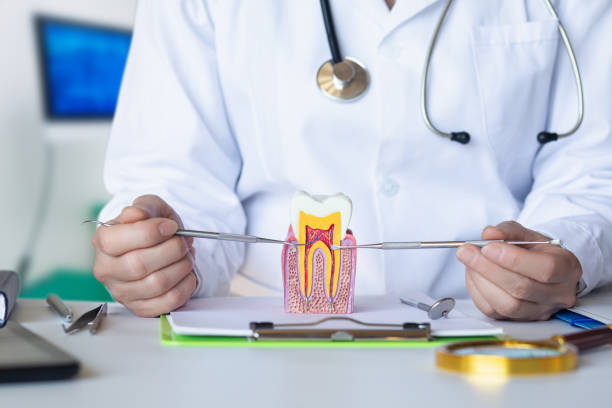 Best Emergency Tooth Extraction  in Sylva, NC